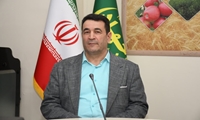 پیشگیری و اقدام به‌موقع؛ کلید حفاظت از محصول گندم در برابر زنگ زرد